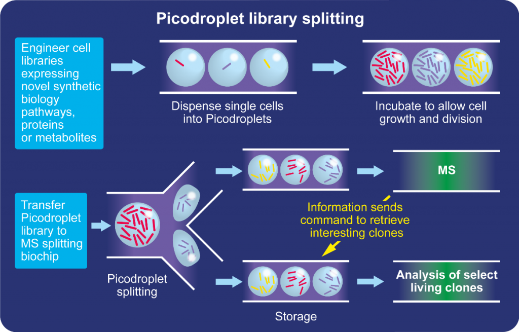 Cell Engineering And Synthetic Biology | Sphere Fluidics