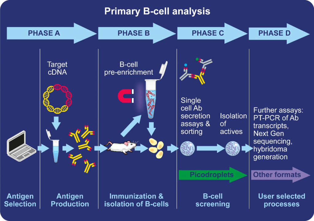 Antibody Discovery | Sphere Fluidics