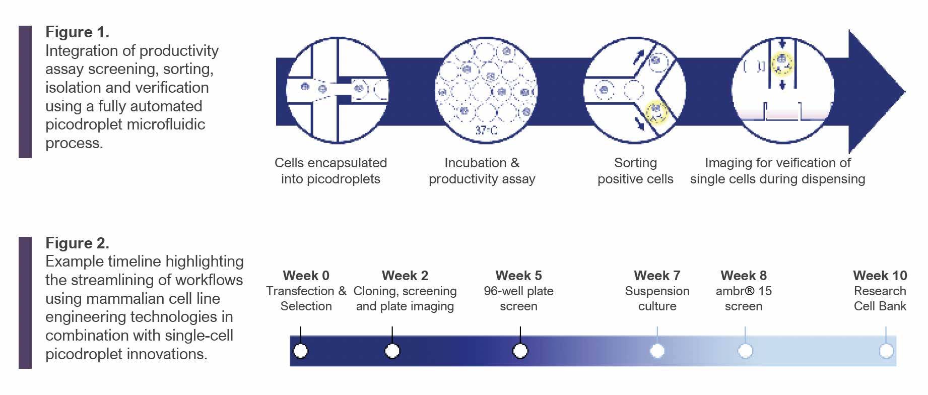 Application Of Cyto-Mine® In Cell Line Development At FUJIFILM Diosynth ...